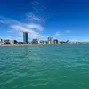 milos.b_