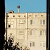 elka_belka10