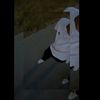 alexdfrank0