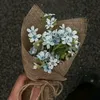 ntyn_30
