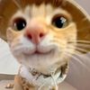 nilnart.ugn