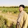 faizullahnazari47