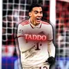 TADDO.AE