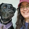 raventhelabradork
