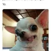 katrinavargas461