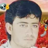 احمد الحمداني