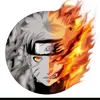user8437602254177