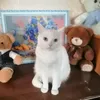 _snezhinka_0w0