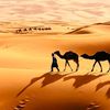 adamarab31