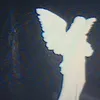 tayela_