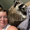 raccoonmomtn