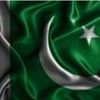 khurramshahzad5220