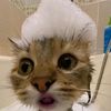 hijjjjr4jhh