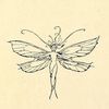 dandelionface