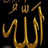 mss.gaabo233