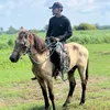 vilhaco