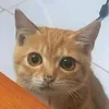kkyeu