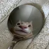 spiegeleimitschnittlauch