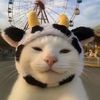 nenawwwwwwww