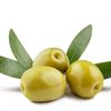 olive48830