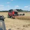 mlodyrolnik_12