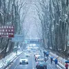 yeuzhonggou