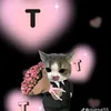 trung3110208