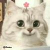 userjustasimpleperson