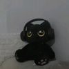 apip.com