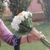 _hawler_2511