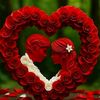 al3medabalfath