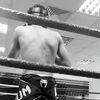 zeynalovmma