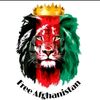 mujtabamohammadi83