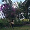 weni_606