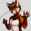 validfox44