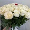 farida.s5