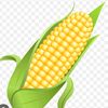 funnycorn_o