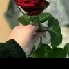 adt__il