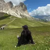 storiaccee