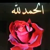 wasta.salah5