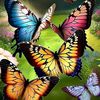 lupe_3327