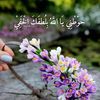 dy11ac78zxfp