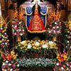 gigante2398