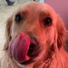 luckyc1vr