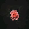 ully_yasmine28