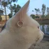 sngflg