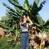 nakry67