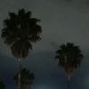 forestjosh1