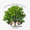 garfias1234