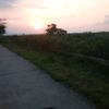 _yogi34